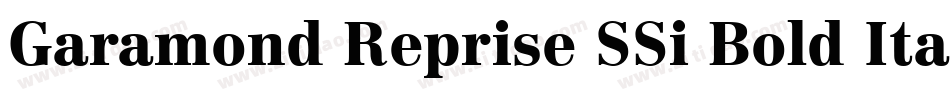 Garamond Reprise SSi Bold Italic字体转换